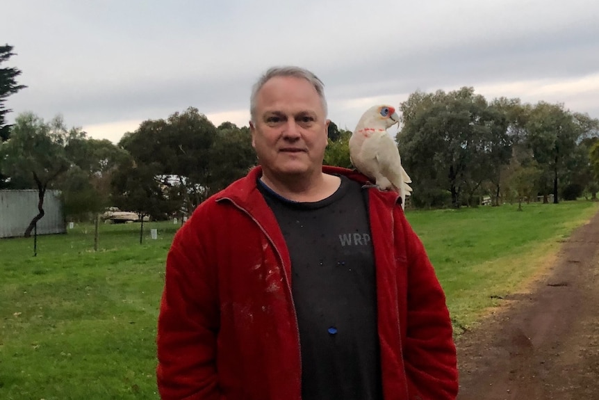 A man on a dirt road with a parrot on his shoulder.