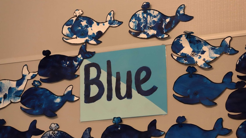 Pictures of blue whale cut outs pinned to a wall