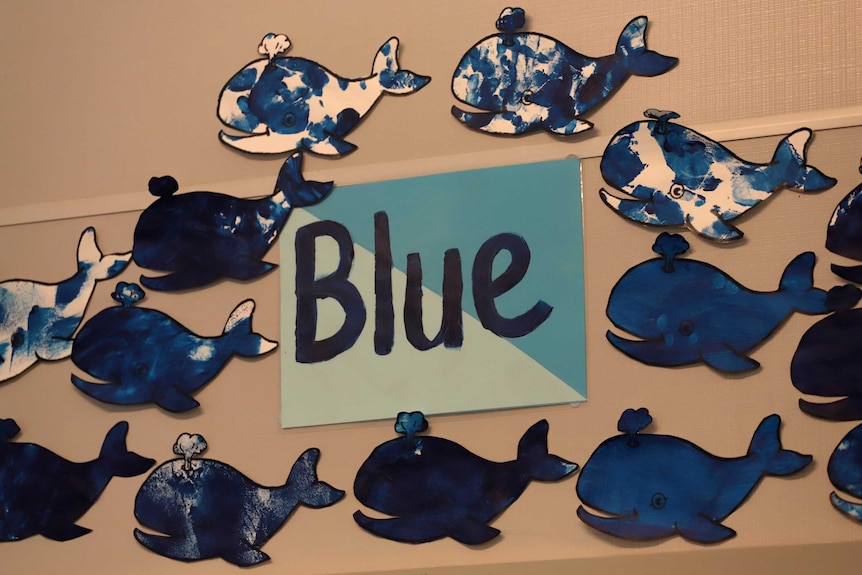 Pictures of blue whale cut outs pinned to a wall