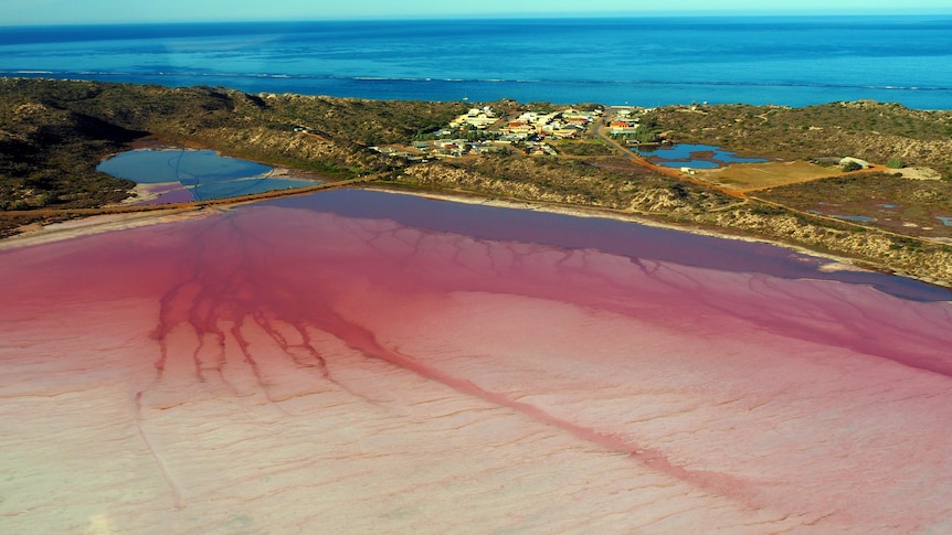 The pink lake at Hutt Lagoon, north of Geraldton in WA.