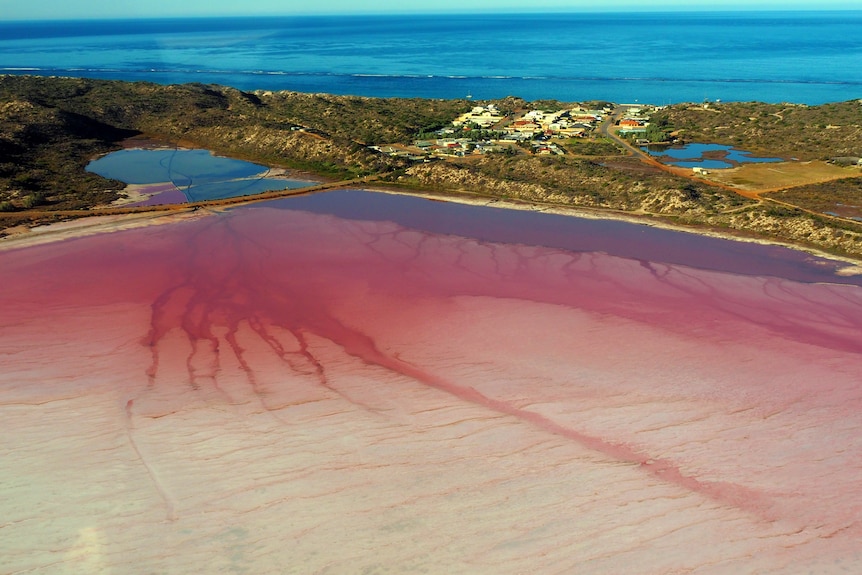 The pink lake at Hutt Lagoon, north of Geraldton in WA.