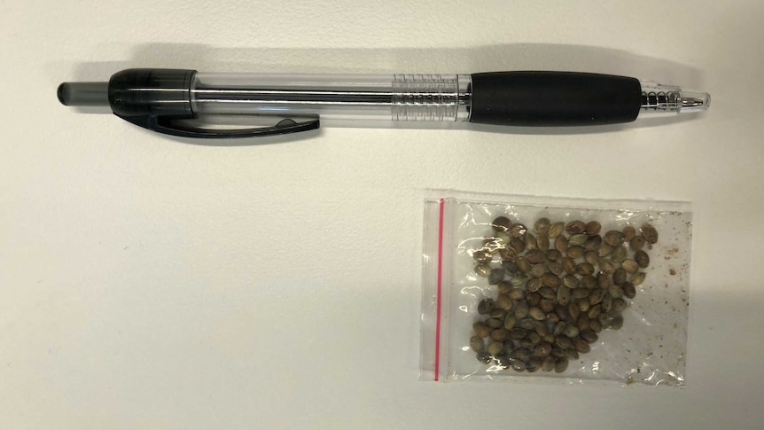 A clear plastic bag containing seeds lies beside a biro.