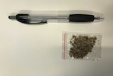 A clear plastic bag containing seeds lies beside a biro.