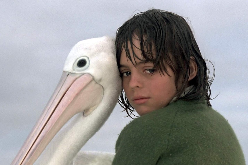 A young boy with a pelican.