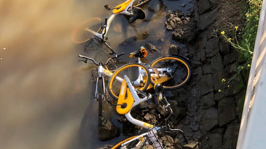 Scores of the yellow oBikes have been dumped in the Yarra River