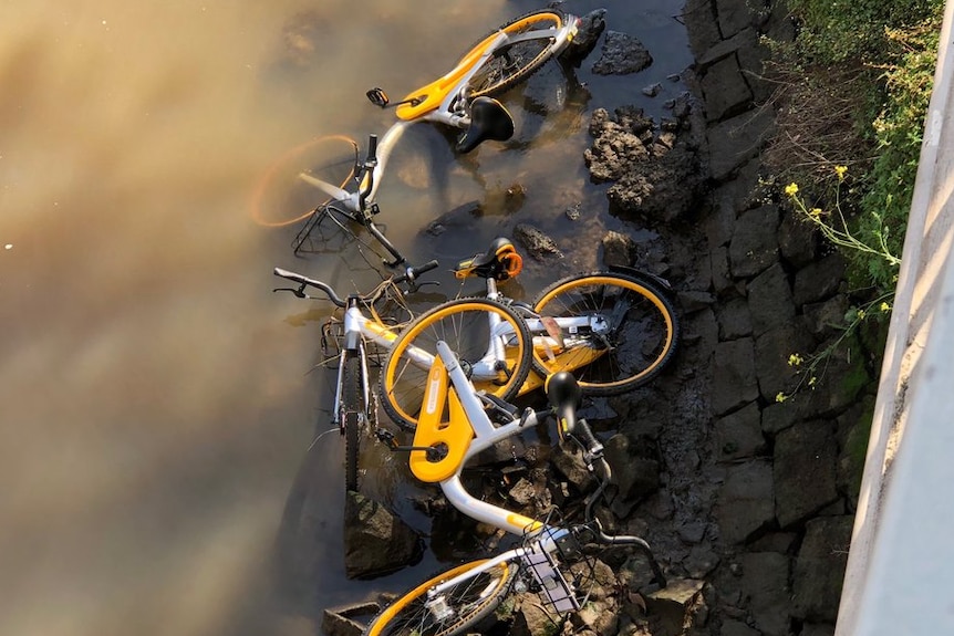 Scores of the yellow oBikes have been dumped in the Yarra River