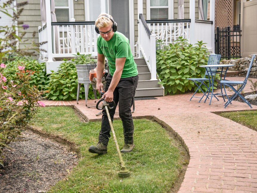 A man wears ear and eye protection as he uses a whipper snipper on the lawn.