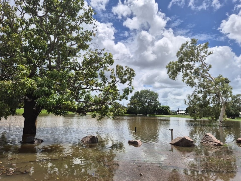 El agua inunda un paisaje de parque con árboles.