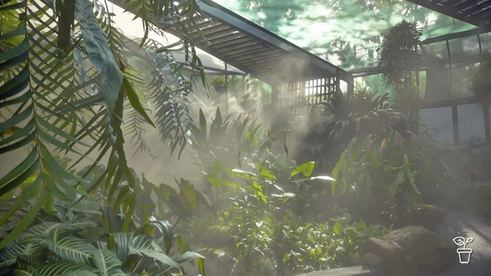 Green tropical plants being sprayed in a light mist of water
