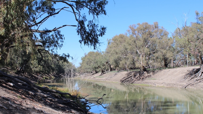 Darling river stops flowing north of Wentworth and south of Pooncarie
