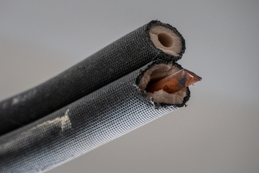 Electric cords that have been snipped, exposing the wire within the PVC casing.