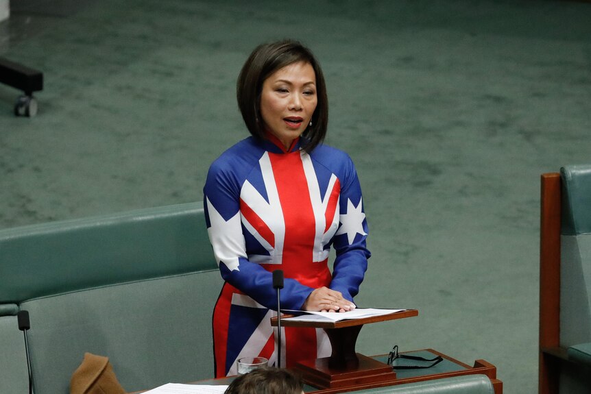 Dai Le delivering her first speech in the house of representatives wearing a dress with the pattern of the australian flag