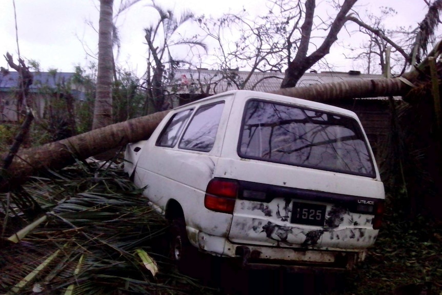 A destroyed car underneath a large fallen tree