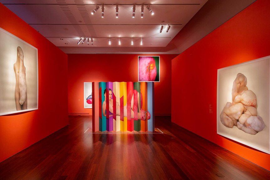 Gallery with bright red walls and dark wooden floor, with bright photographic prints on walls featuring lumpy human forms.