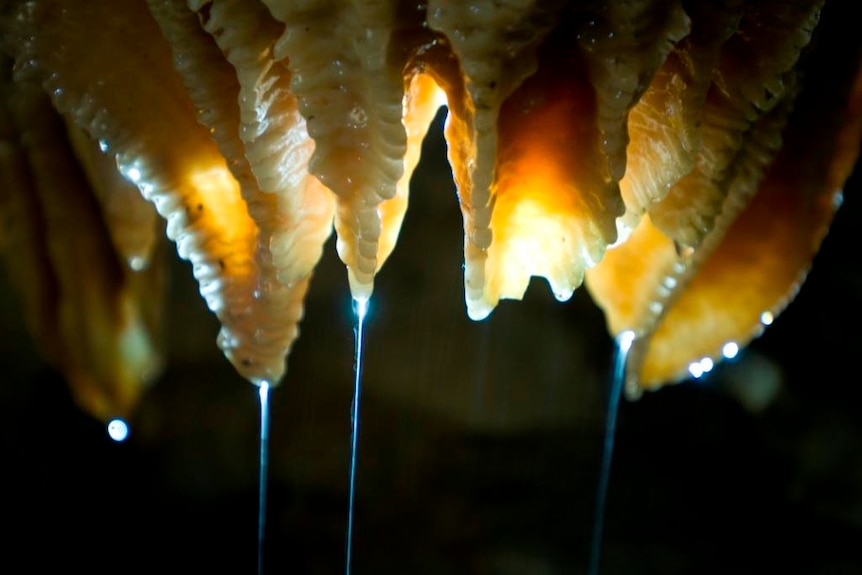 Water dripping from stalagmites in a cave