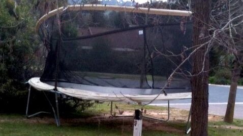 A trampoline sits between two trees in the front yard of a house in Wodonga, Victoria, after being blown there by strong winds.
