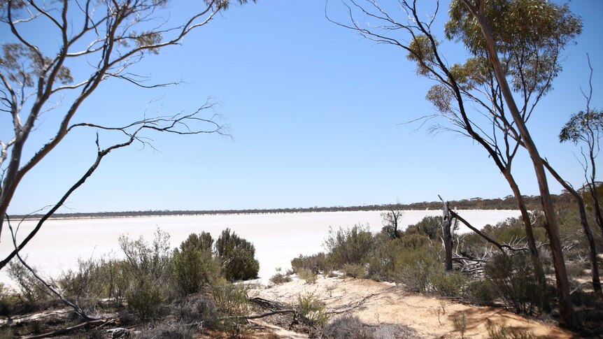 Ground shot of Lake Gilmore in Western Australia