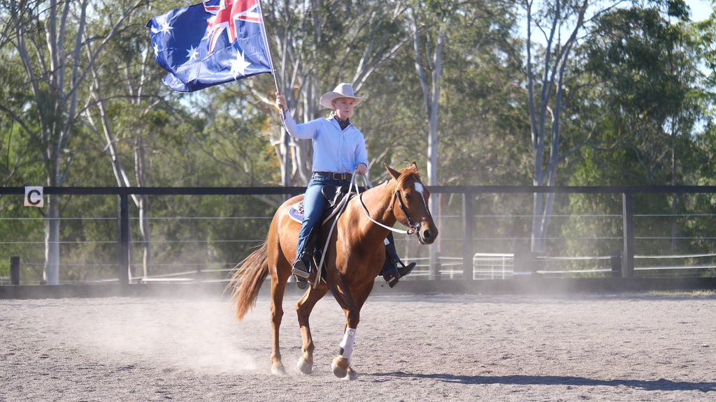 Brumby show takes wild horses to show horses - ABC News