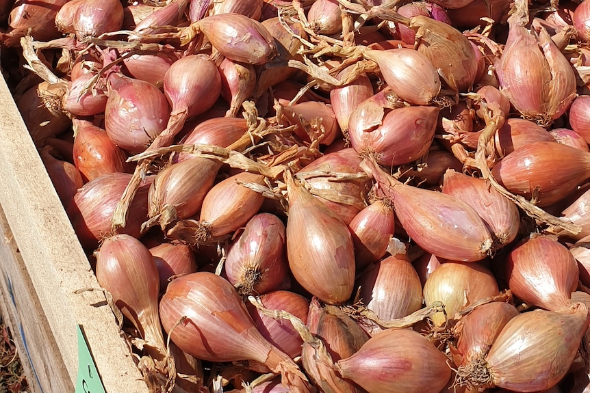 What is a shallot? And how do you cook with them? - ABC Everyday