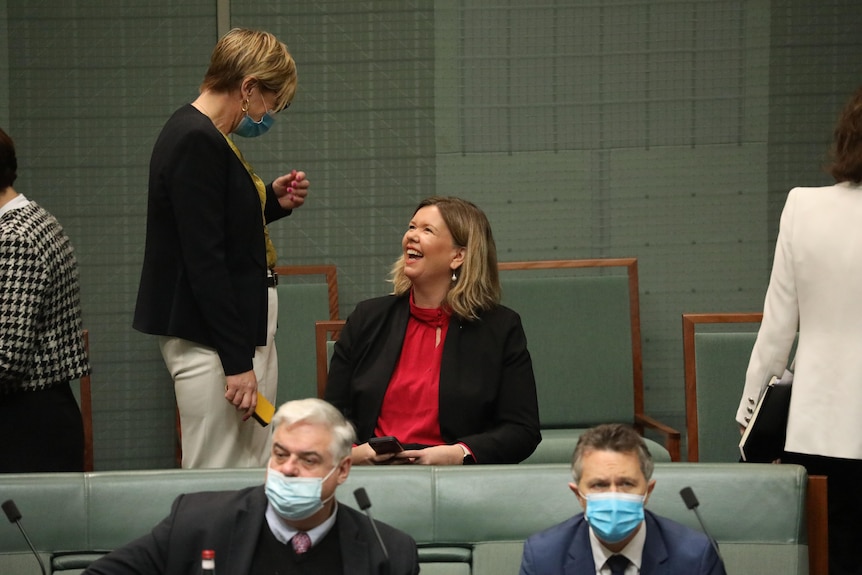 Bridget Archer speaks with Zoe Daniel while voting for Labor's climate bill