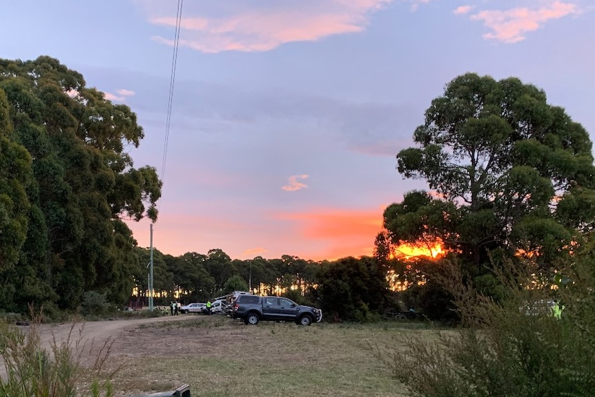 Cars lined up near a bush road at sunset