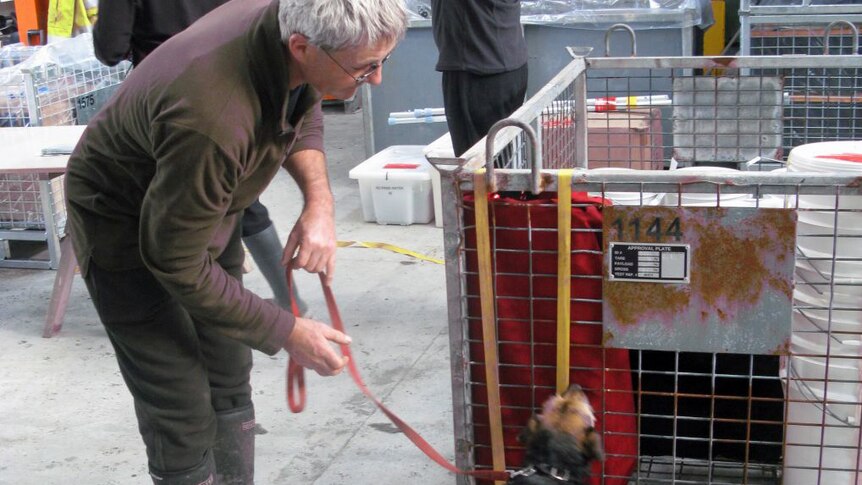 Tama the dog and handler Dave Seeley.