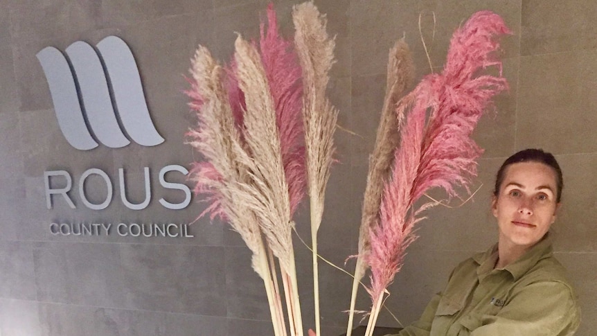 A Rous County biosecurity officers stands with seized pampas grass