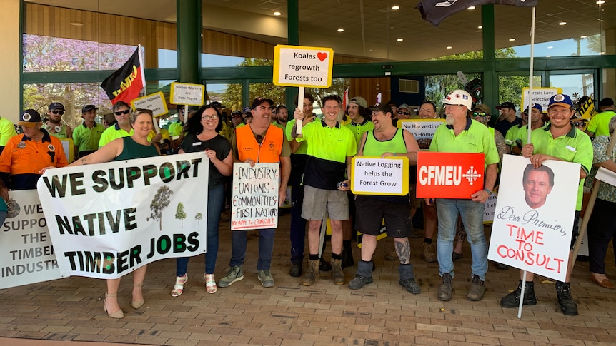 Protesters in high-vis gear wave sign supporting the timber industry.