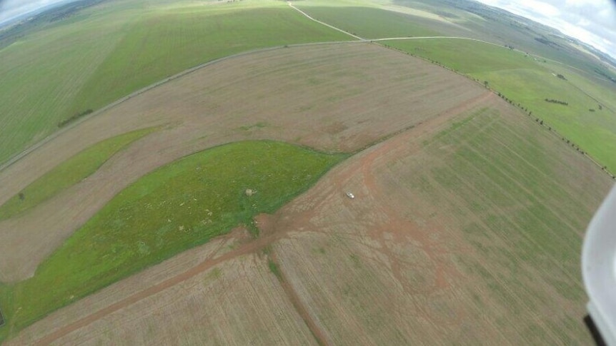 An aerial view of canola damaged by beet western yellows virus