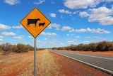 A yellow cattle crossing sign appears alongside a long stretch of road surrounded by scrub and red dirt in the outback.