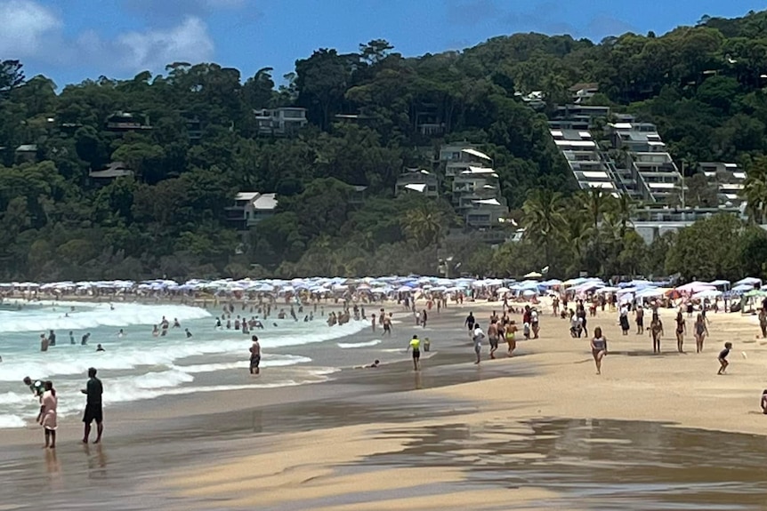 beach cabanas on a beach with a tree covered hillside dotted with dwellings