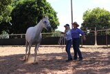 two women leading a horse around a yard