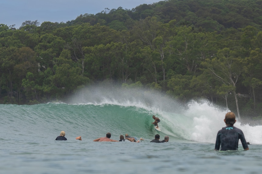 people surfing in noosa