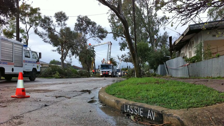 Efforts start to clean up Lassie Avenue