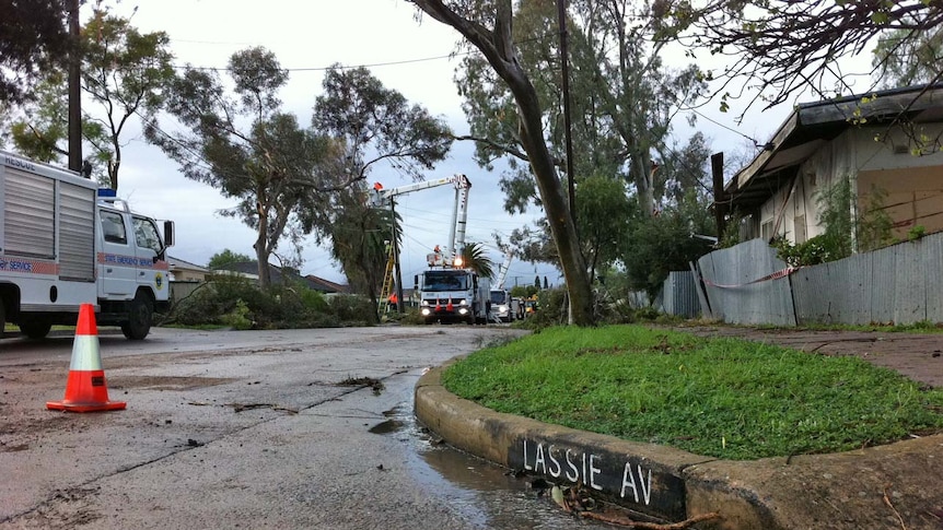 Efforts start to clean up Lassie Avenue