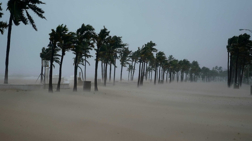 Sand covers Ft Lauderdale Beach Boulevard after Hurricane Irma blew through Ft Lauderdale.