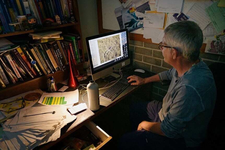 Dr Greg Brown sits at his computer at his lab.