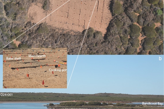 An aerial photo showing different parts of an archaeological dig at Bandicoot Bay.