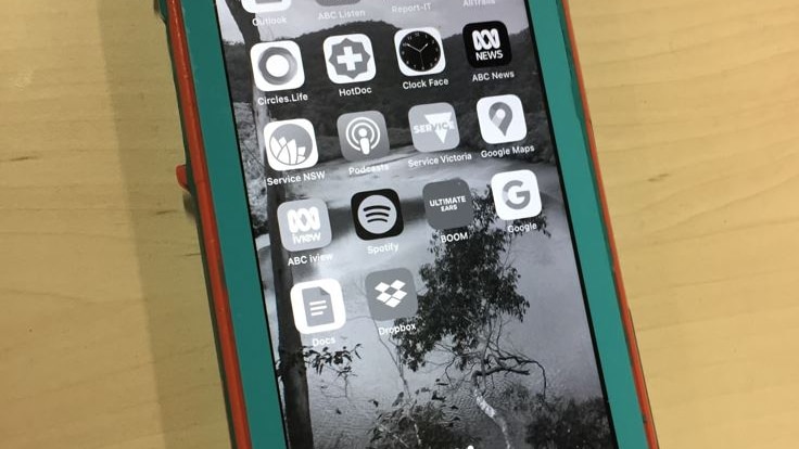 home screen of phone with green case and black and white greyscale screen