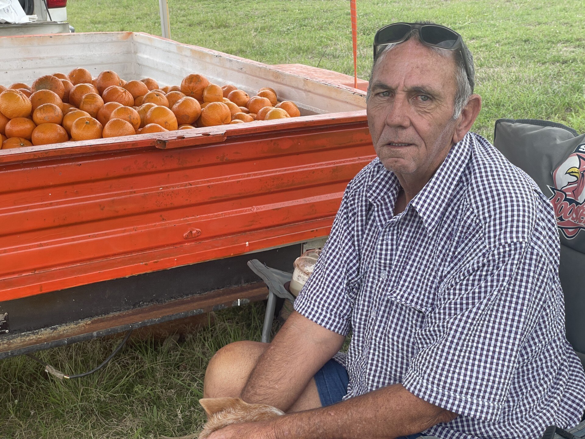 An older man under a pop up gazebo with a trailer full of mandarins