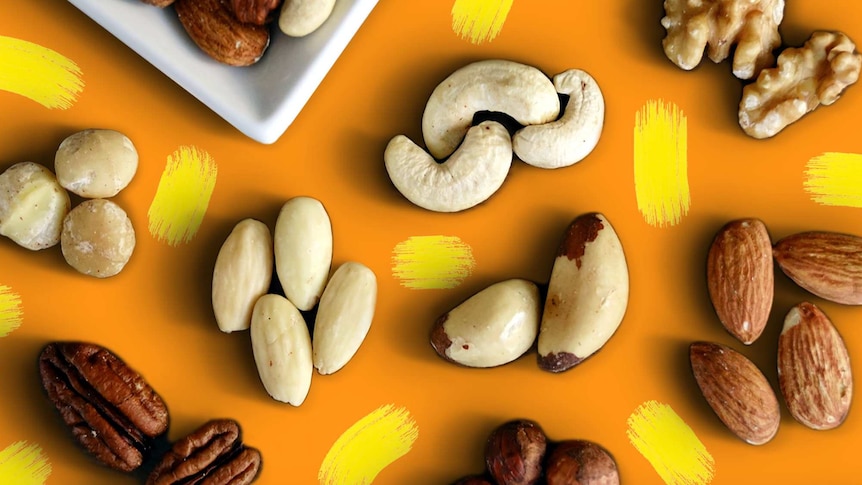 An assortment of nuts arranged side by side on a table top.