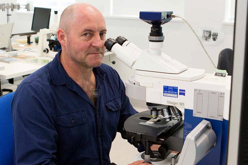 ANU Researcher Simon Haberle, couting pollen with a microscope.