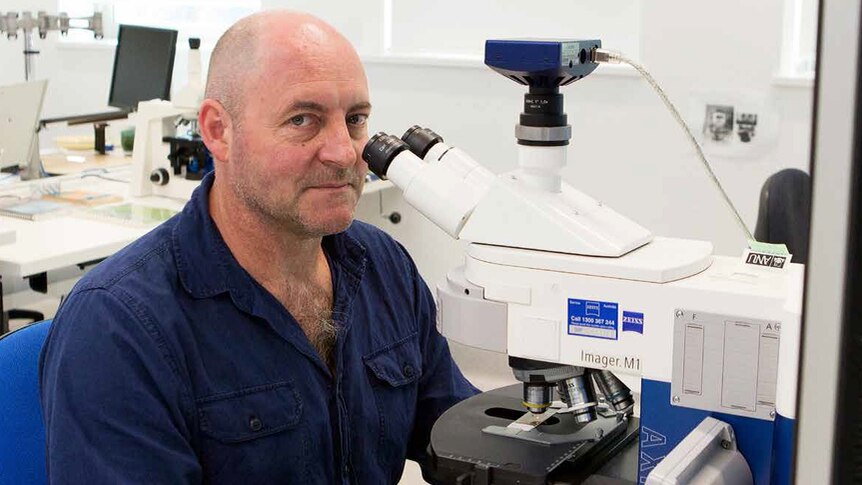 ANU Researcher Simon Haberle, couting pollen with a microscope.