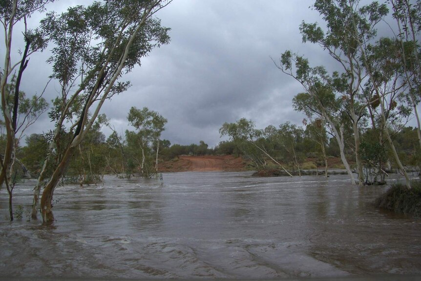 A flooded road crossing at Donkey Creek on Neutral Junction Station, NT