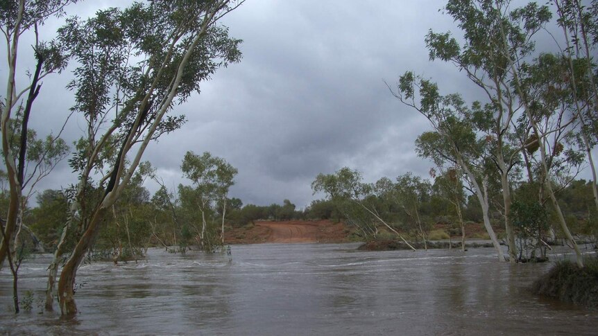 A flooded road crossing at Donkey Creek on Neutral Junction Station, NT