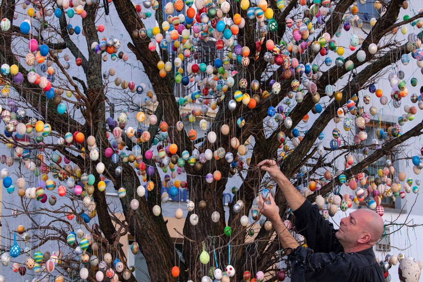 A tree in central Germany is decorated with 10,000 painted eggs.