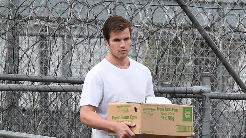 Gable Tostee carrying a cardboard box.