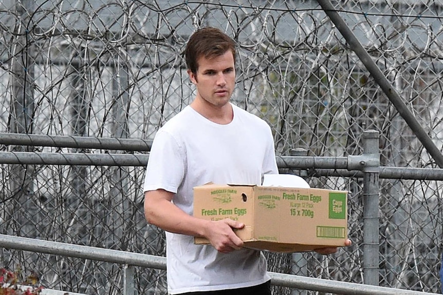 Gable Tostee carrying a cardboard box.