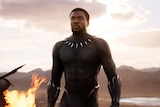 A press image of Black Panther, played by Chadwick Boseman
