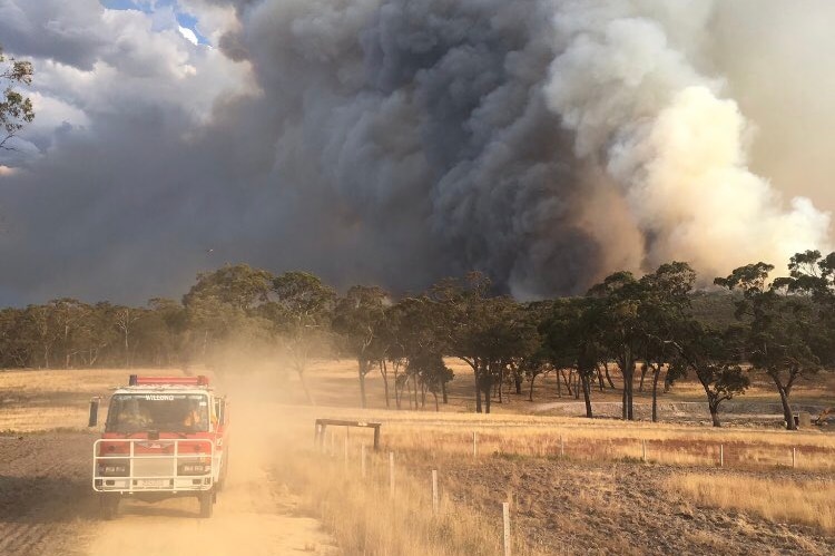 Firetrucks drive down a dirt road near the Rosedale fire at Gippsland.